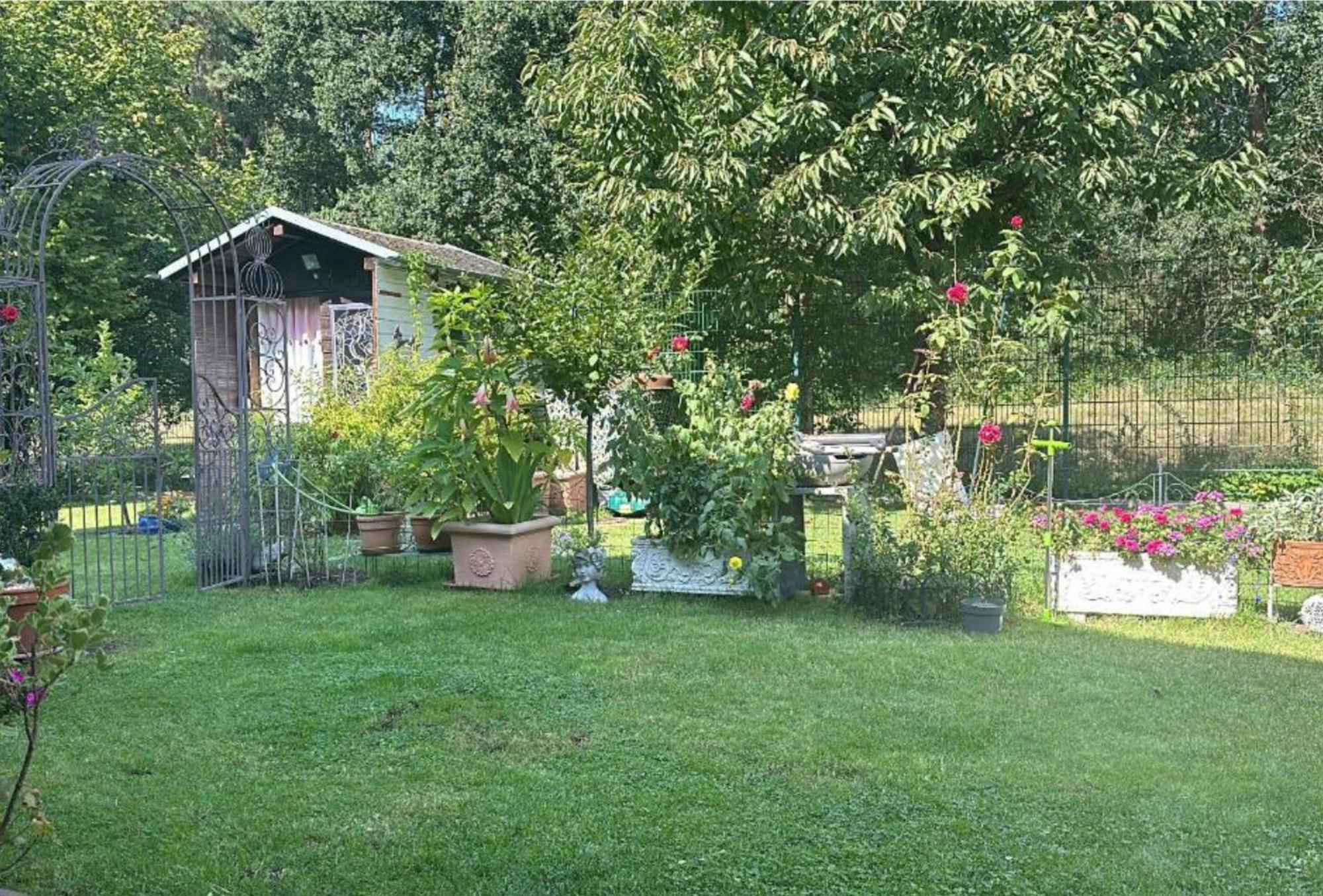 Grosse Helle Wohnung Am Wald In Bad Saarow Nahe Gruenheide Und Berlin Souterrain Extérieur photo